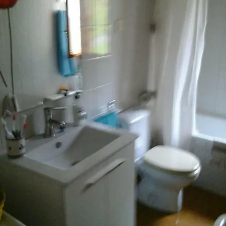 Apartment Modesto En Montanas Del Pirineo Aragones En Alquiler Altruista Economico