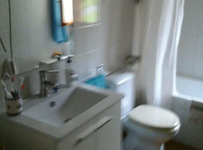 Apartamento Modesto En Montañas Del Pirineo Aragonés En Alquiler Altruista Económico